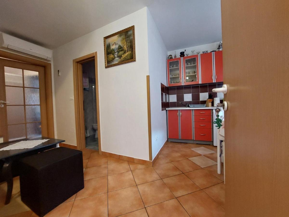 Appartement Leona à Novigrad Istria Extérieur photo