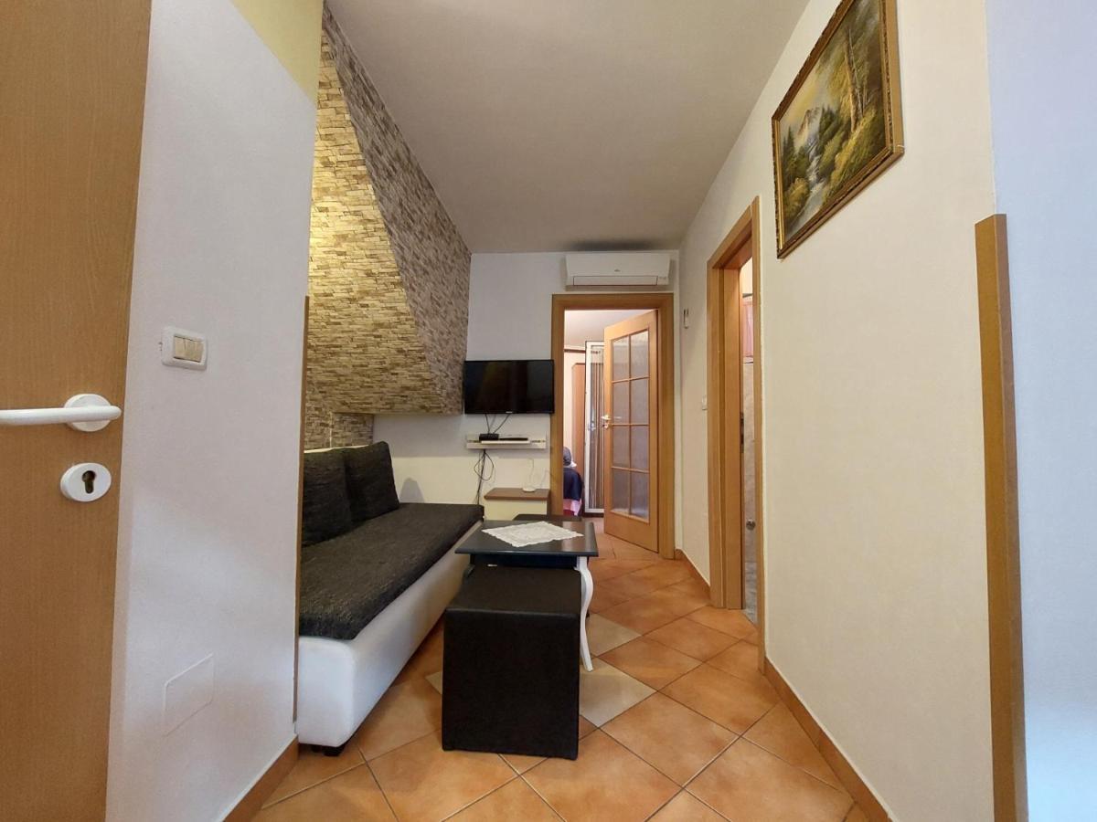 Appartement Leona à Novigrad Istria Extérieur photo