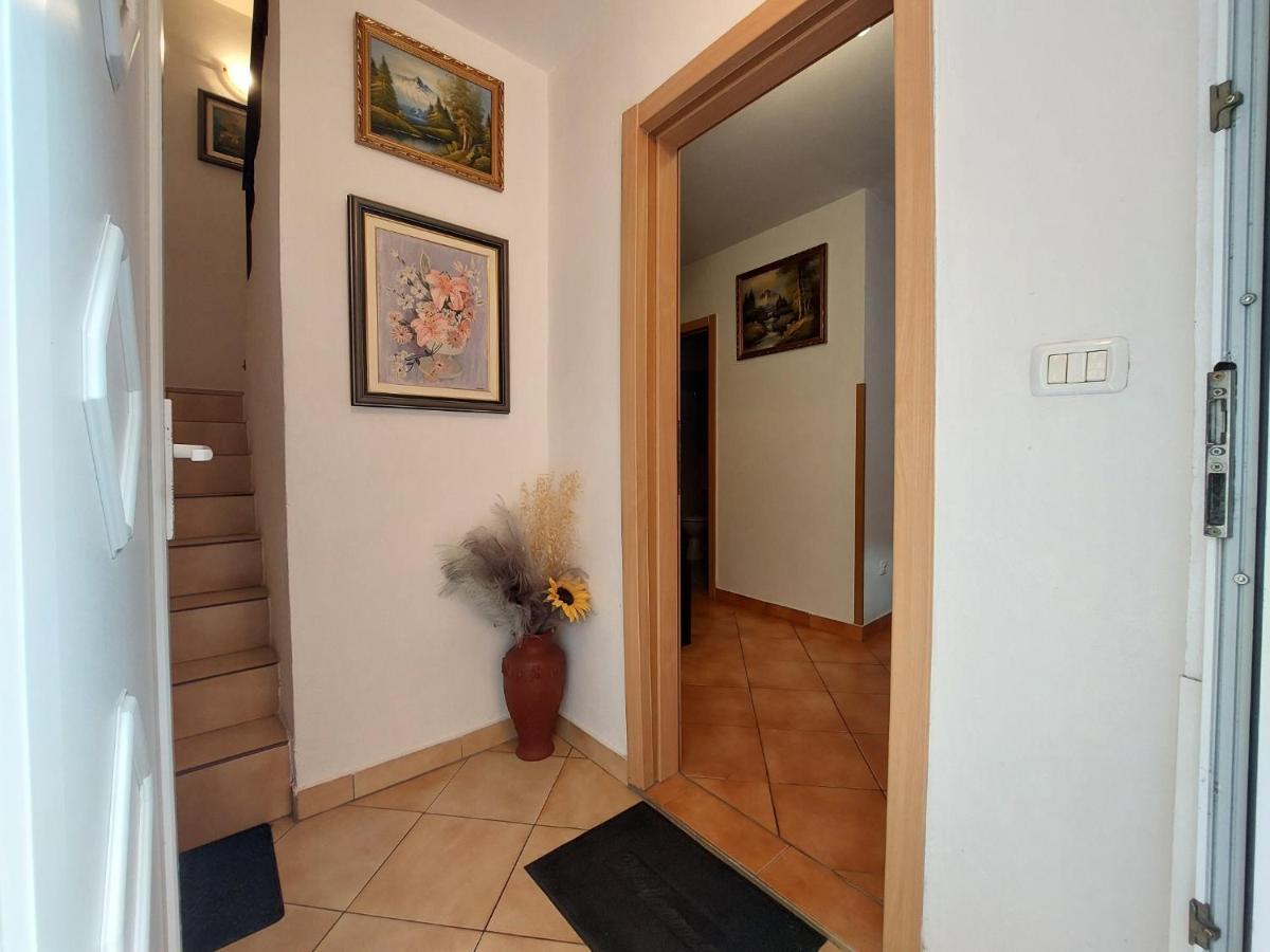 Appartement Leona à Novigrad Istria Extérieur photo