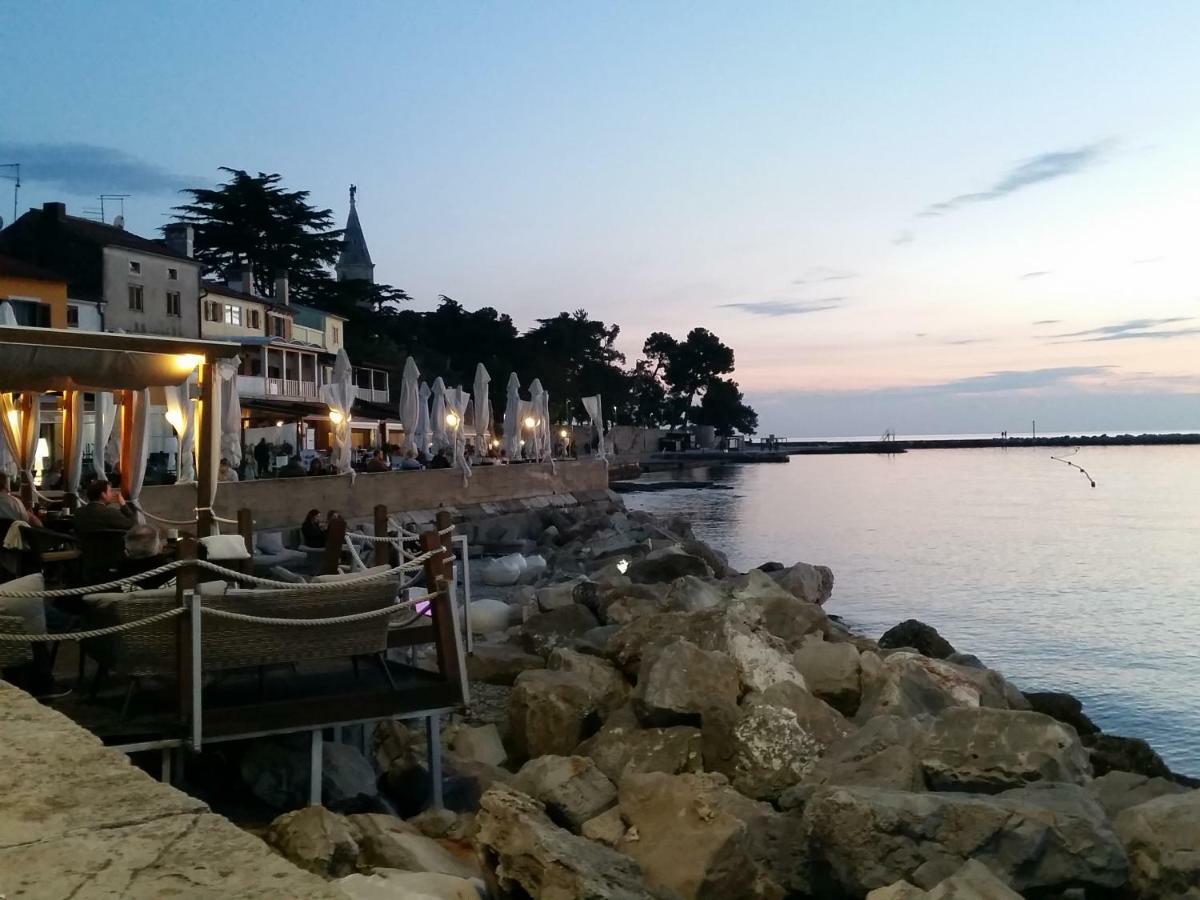 Appartement Leona à Novigrad Istria Extérieur photo